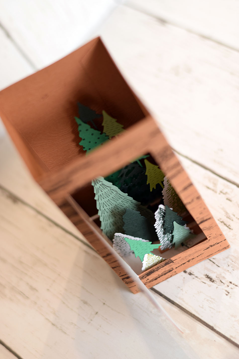 carte-popup-armoire-narnia-sapin-2