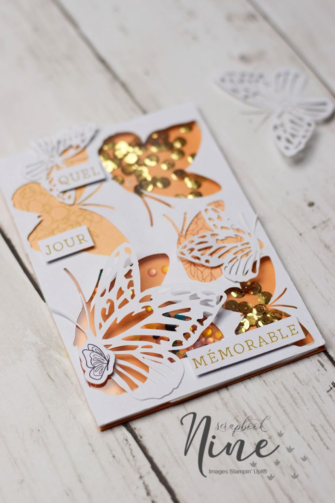 carte a secouer papillon 1