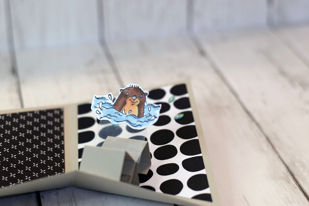 carte popup plateforme loutre 5