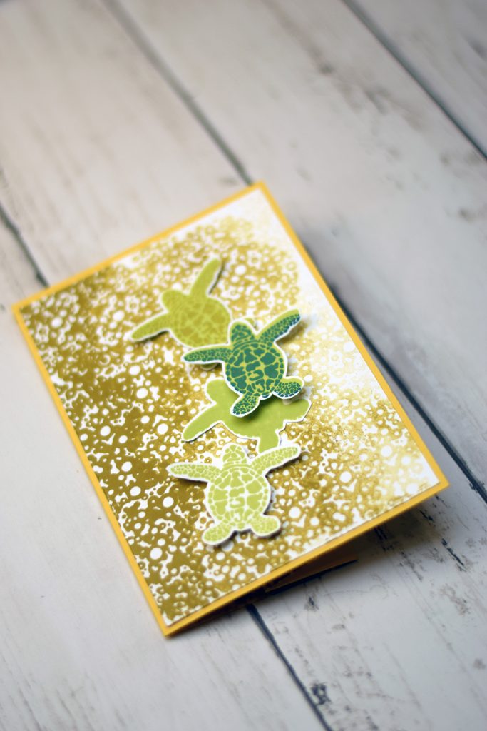 carte tortue flipflap 1