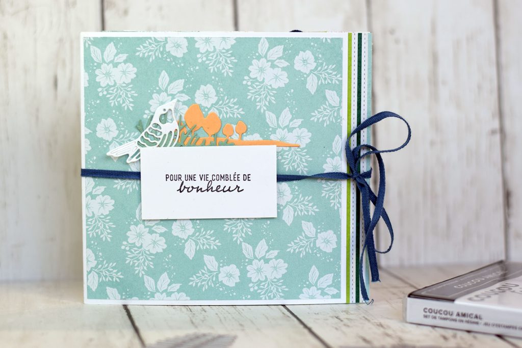 mini album oiseau en carrousel 1