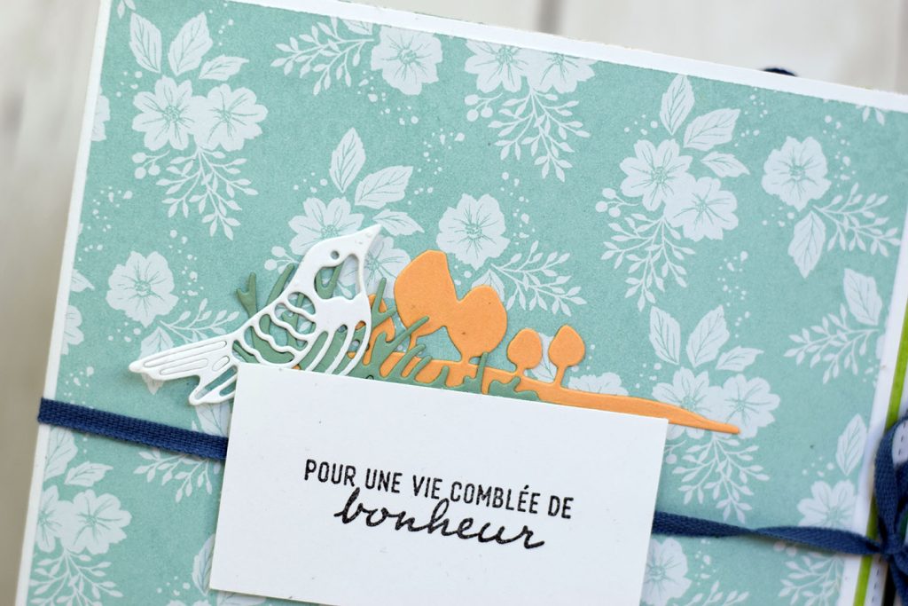 mini album oiseau en carrousel 2
