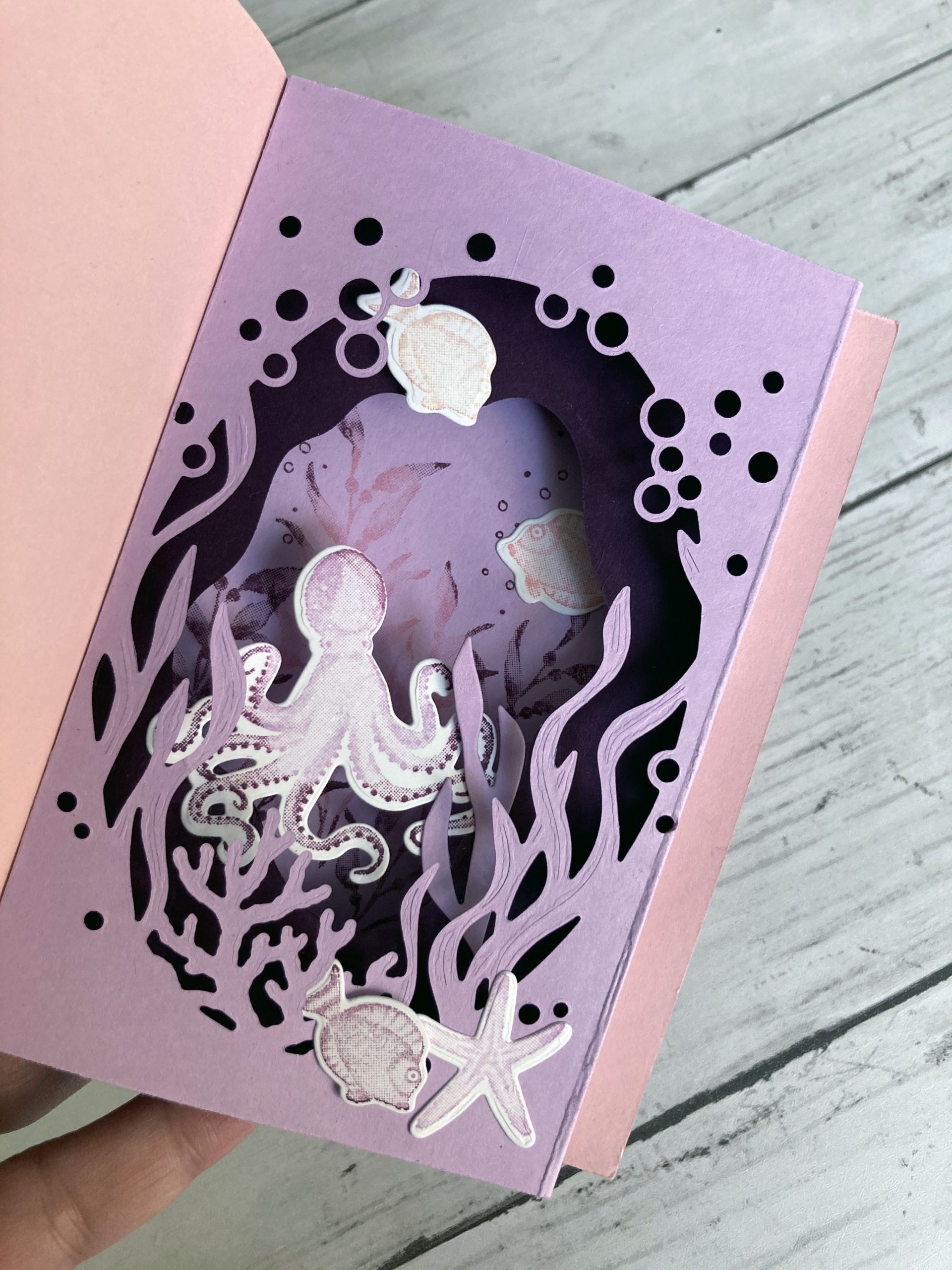 carte_popup_diorama (2)