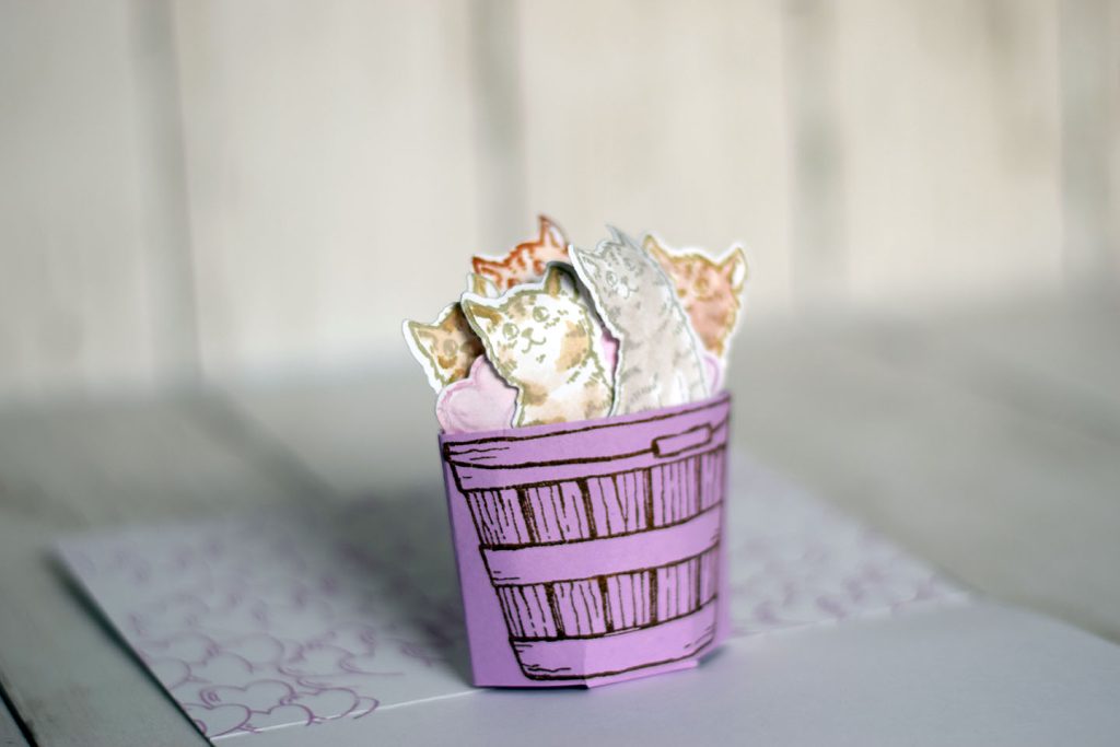 carte popup chaton dans un panier 4