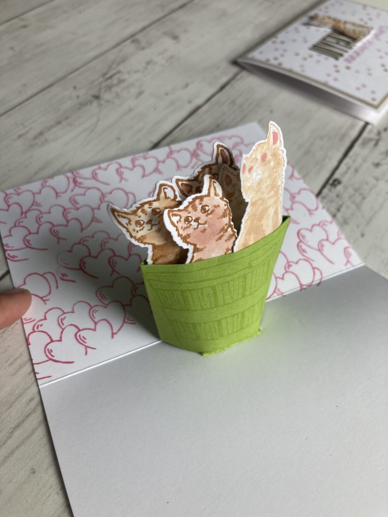 carte popup chaton panier 1