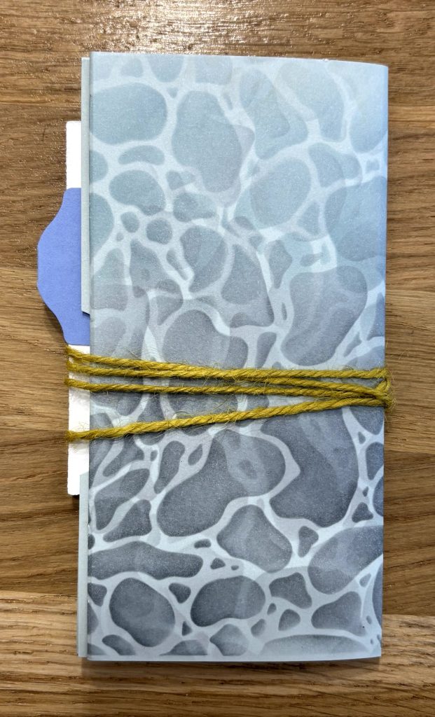 mini album scrapbooking fermé avec ficelle décorative autour