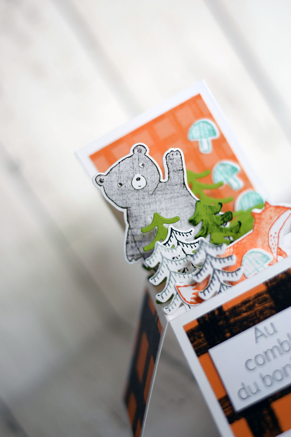 carte-boite-popup-au-comble-du-bonheur-5