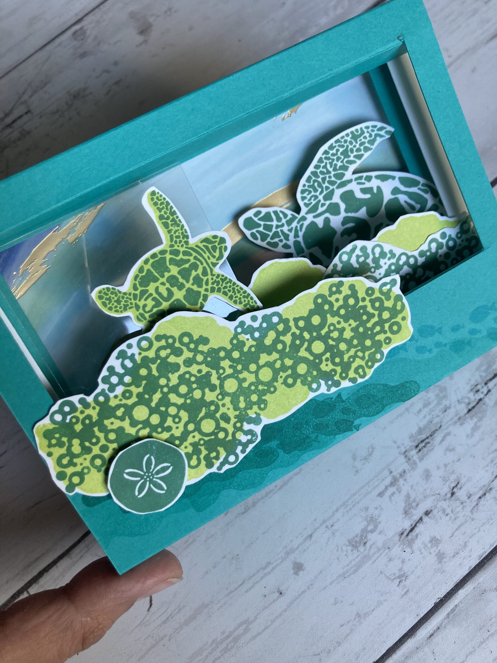 carte popup diorama et titrette (4)