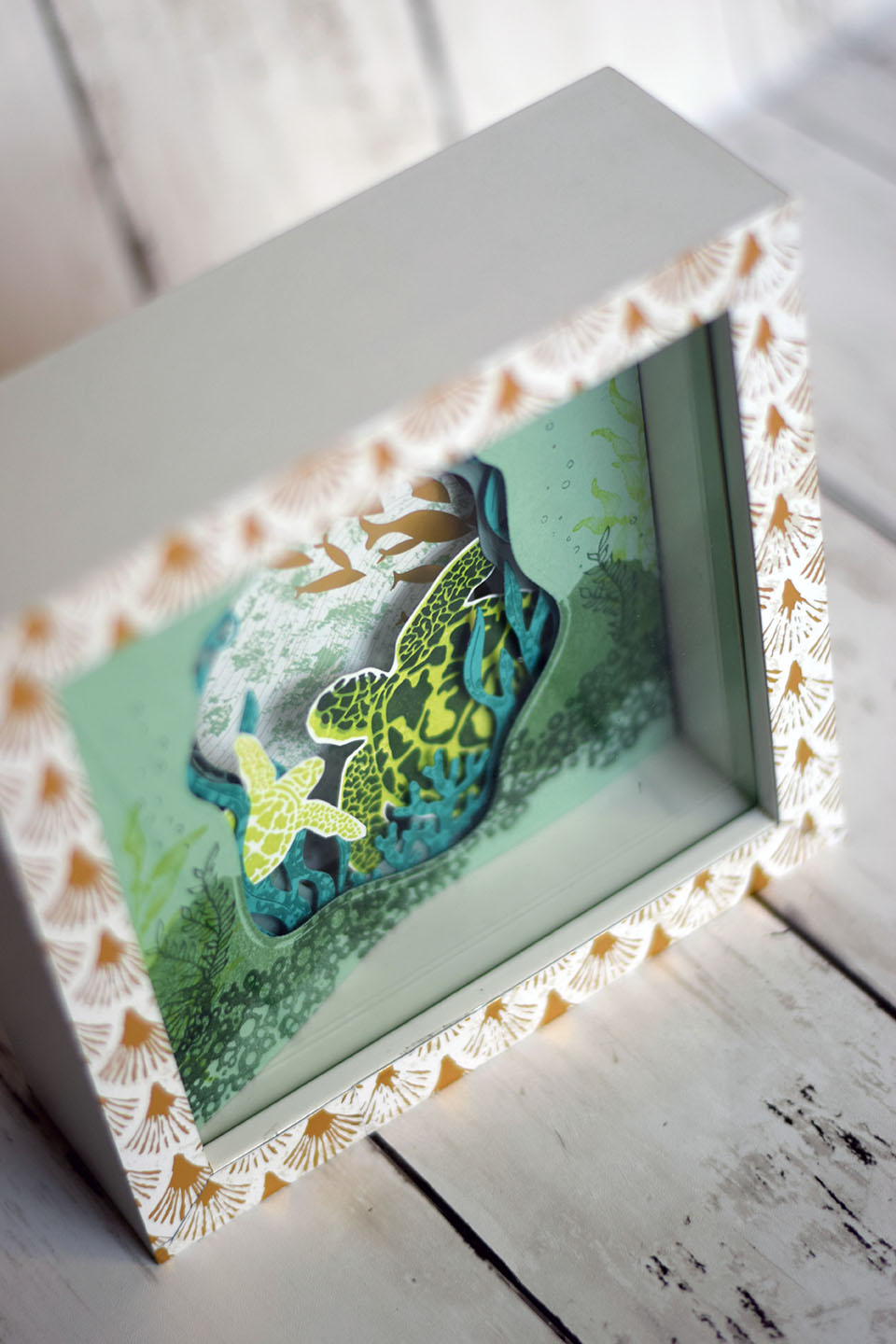 cadre-marin-turtles-tortues-3