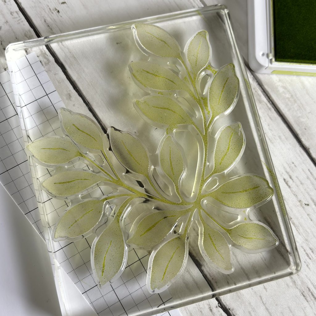 tampon transparent feuillage posé sur le positionneur d'images