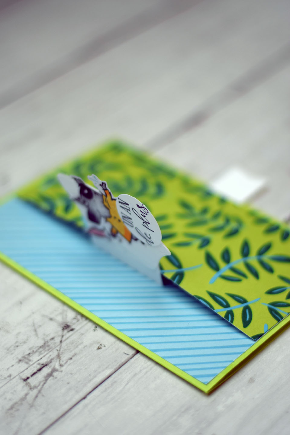 carte-popup-tirette-et-disparition-5