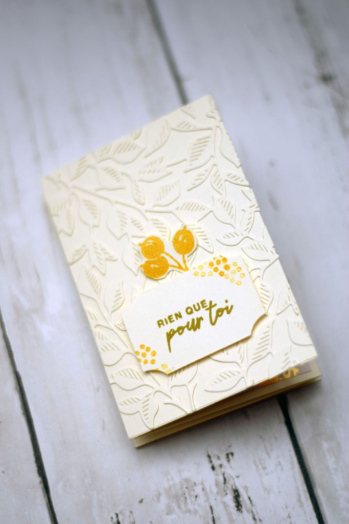 carte popup pli triple et vélin 4