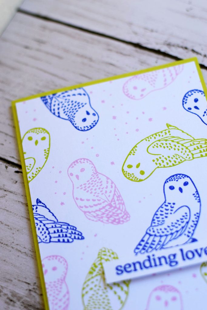 carte chouette ton pastel 4