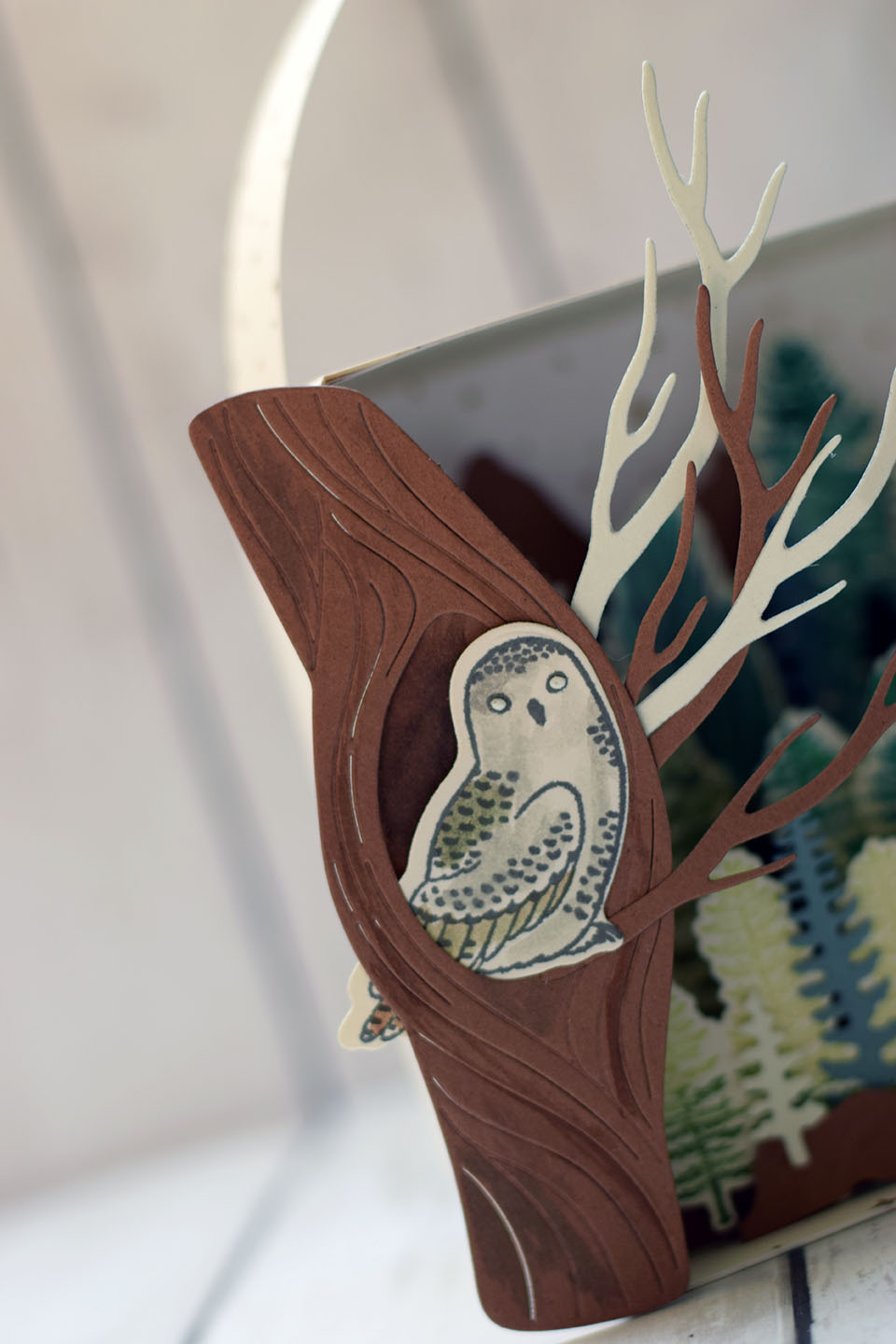 cadre-foret-et-chouette-3