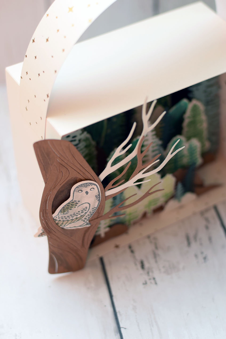 cadre-foret-et-chouette-5