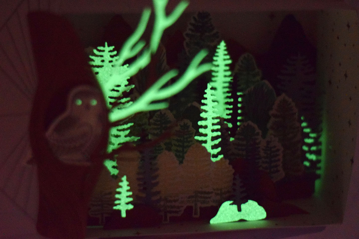 cadre-foret-et-chouette-9