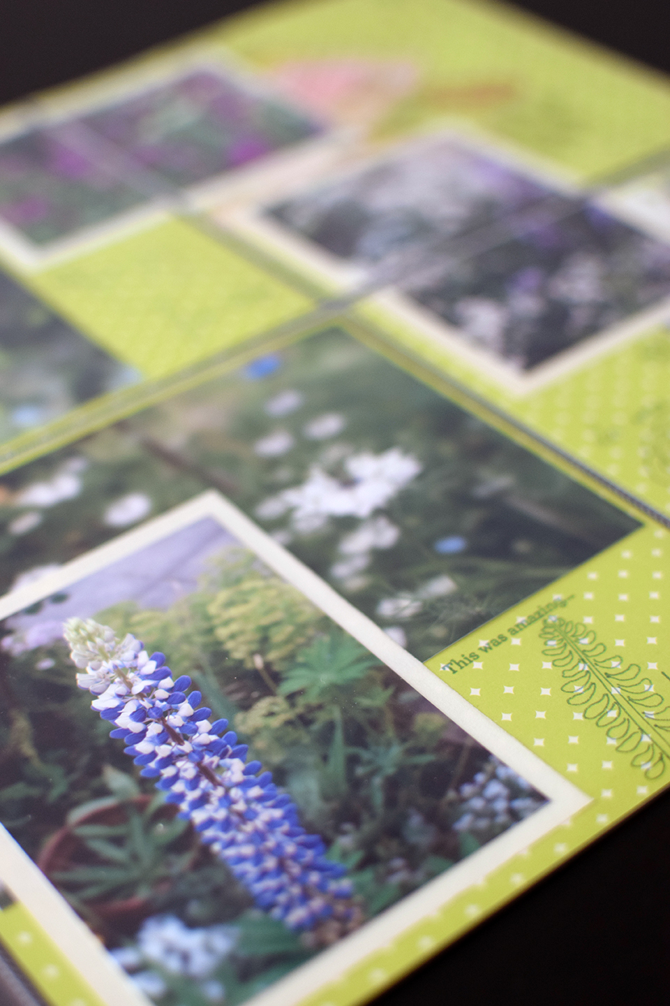 page_project_life fleurie (3)