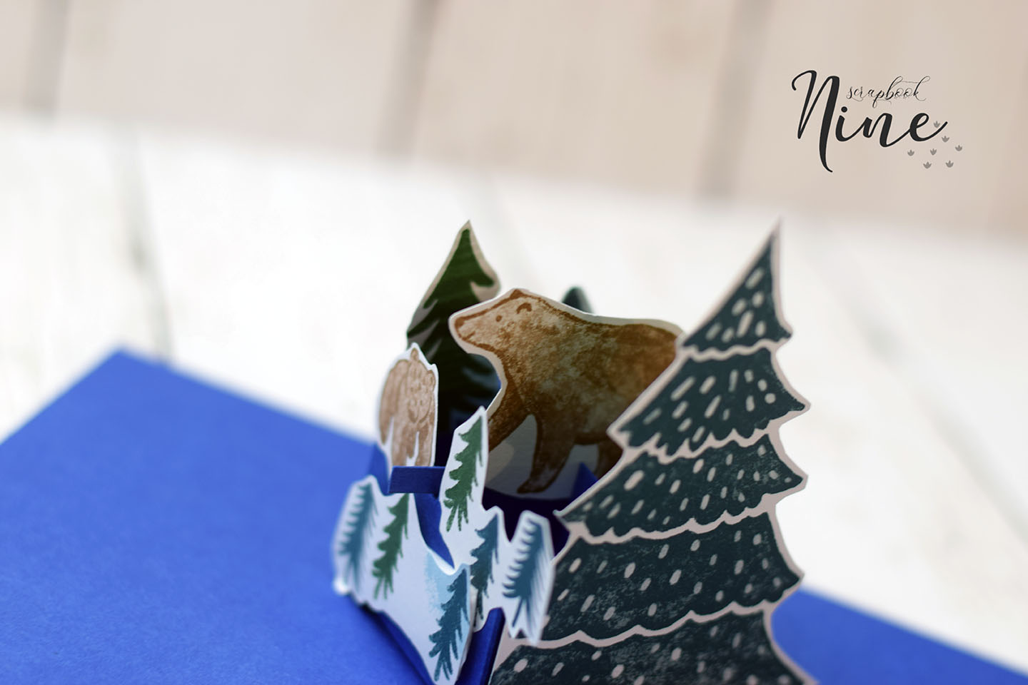 carte popup grille ours et sapins ouverte - effet 3D animé