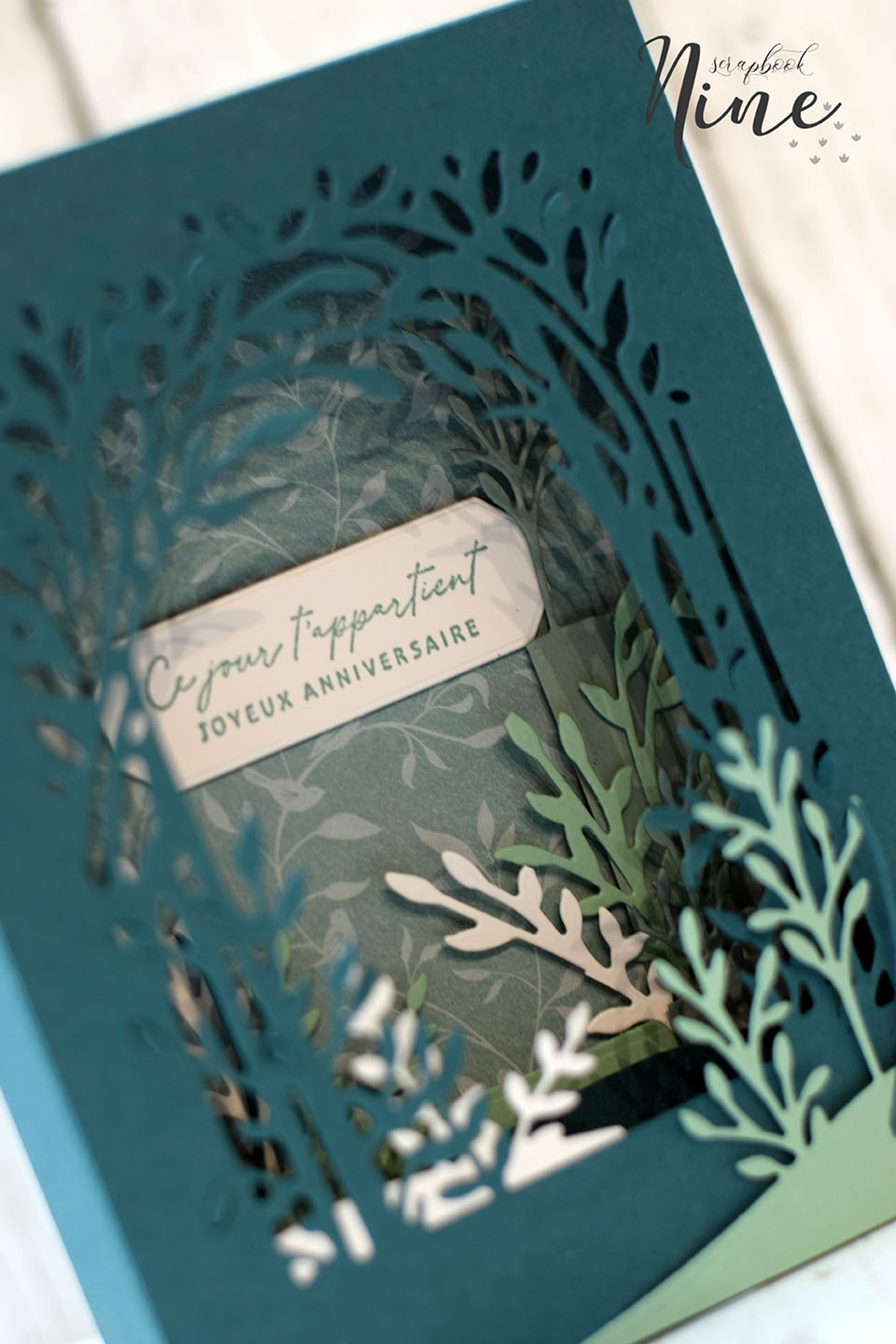 cadre-foret-délicate-et-paysage-diorama-2