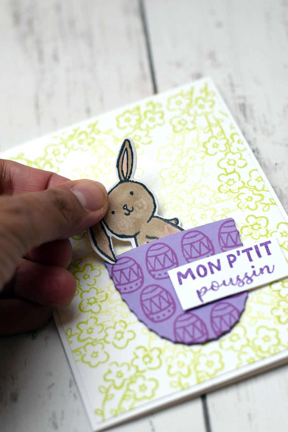 Carte de pâques avec des lapins mignons à sortir de son oeuf