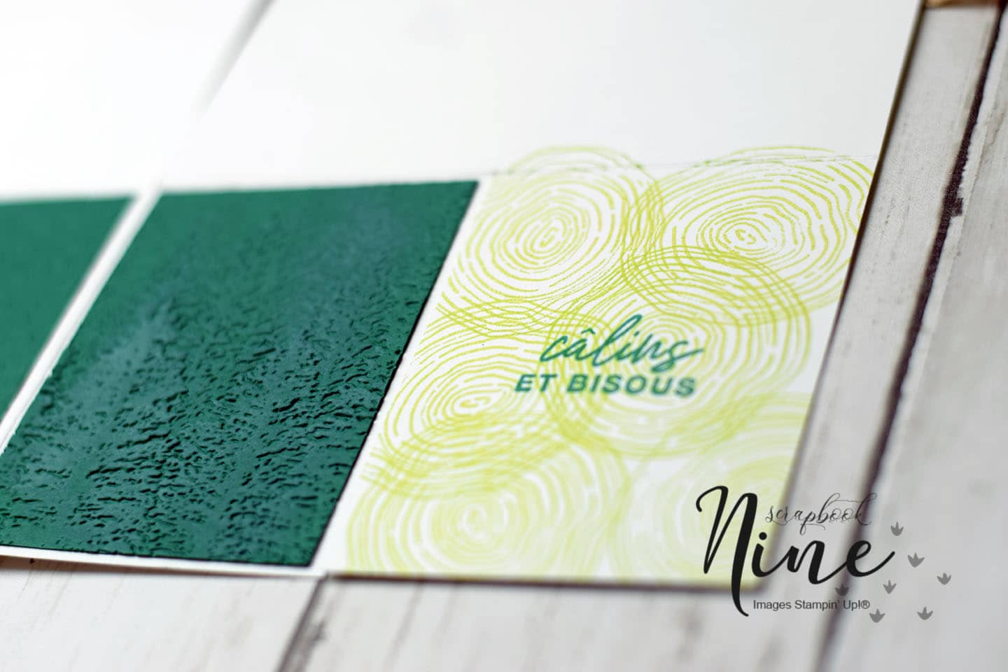 mini-album-photo-special-naturel-et-embossage-8