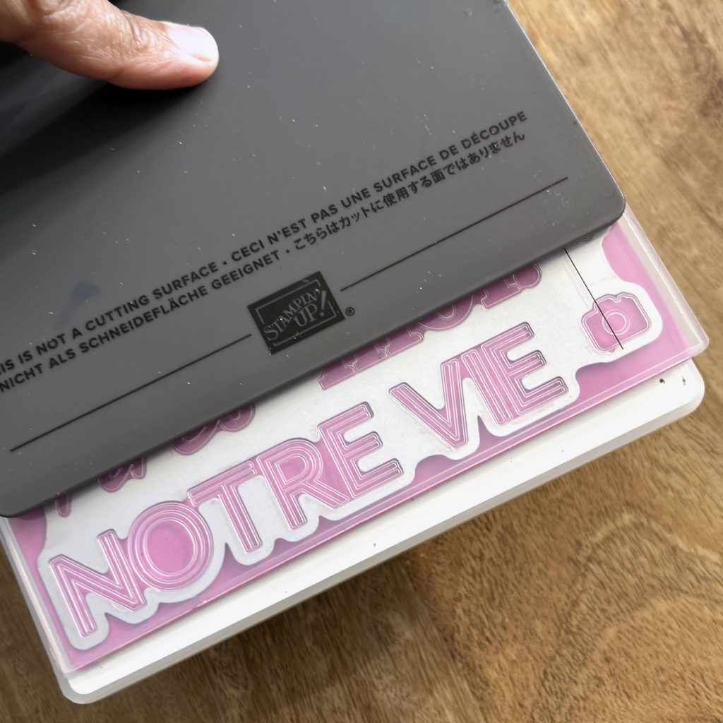Plioir hybride Stampin'Up! avec poinçon pour gaufrage et découpe simultanés en scrapbooking