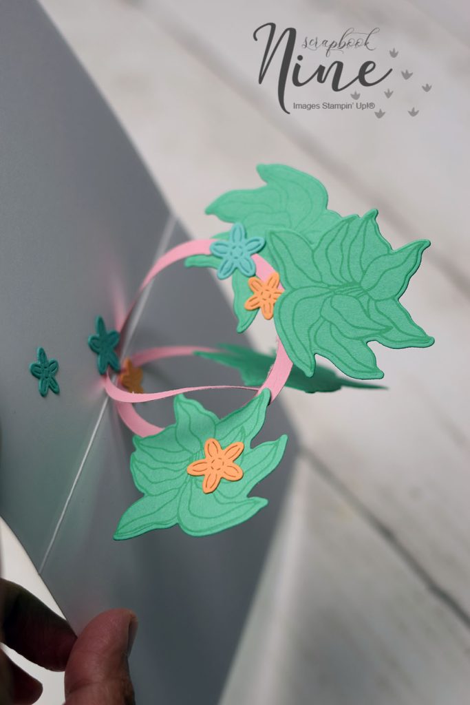 carte popup anneaux enlaces 2