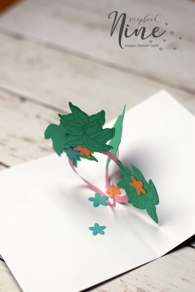 carte popup anneaux enlaces 4