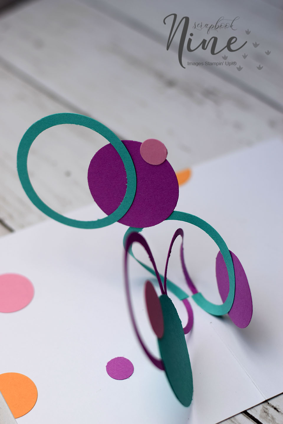 carte-popup-rond-et-cercle-entremele-3
