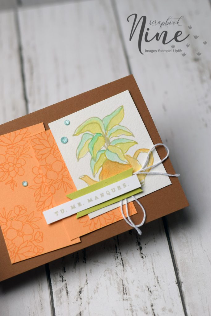 cartes fleurs de campagnes 4