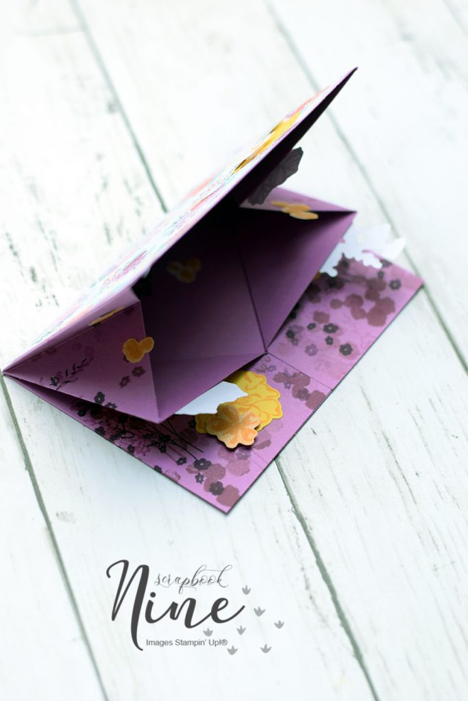carte popup double pli interieur petunia petillant 3