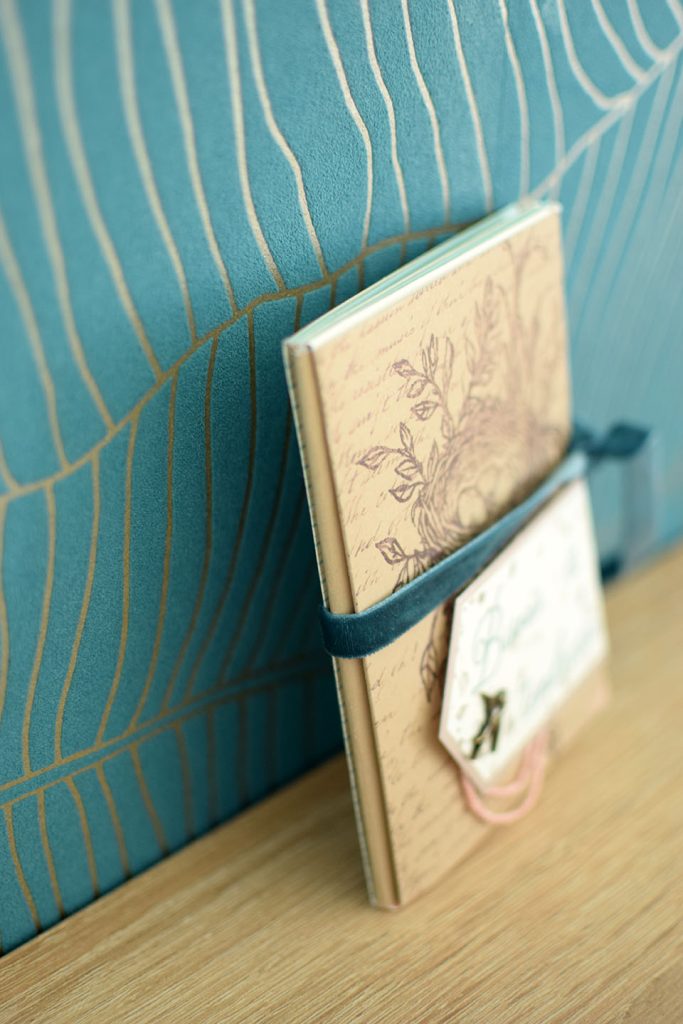 Album enveloppe naissance couleurs pastel avec photos premiers mois bébé