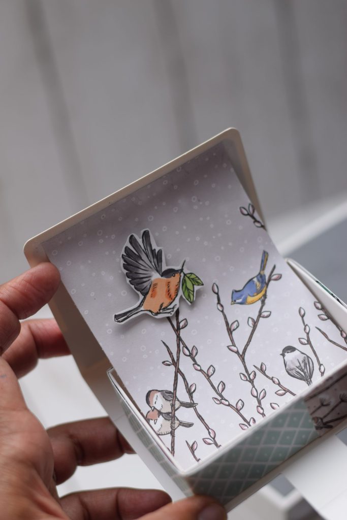 boite popup livre et oiseau nid hivrnaud 3