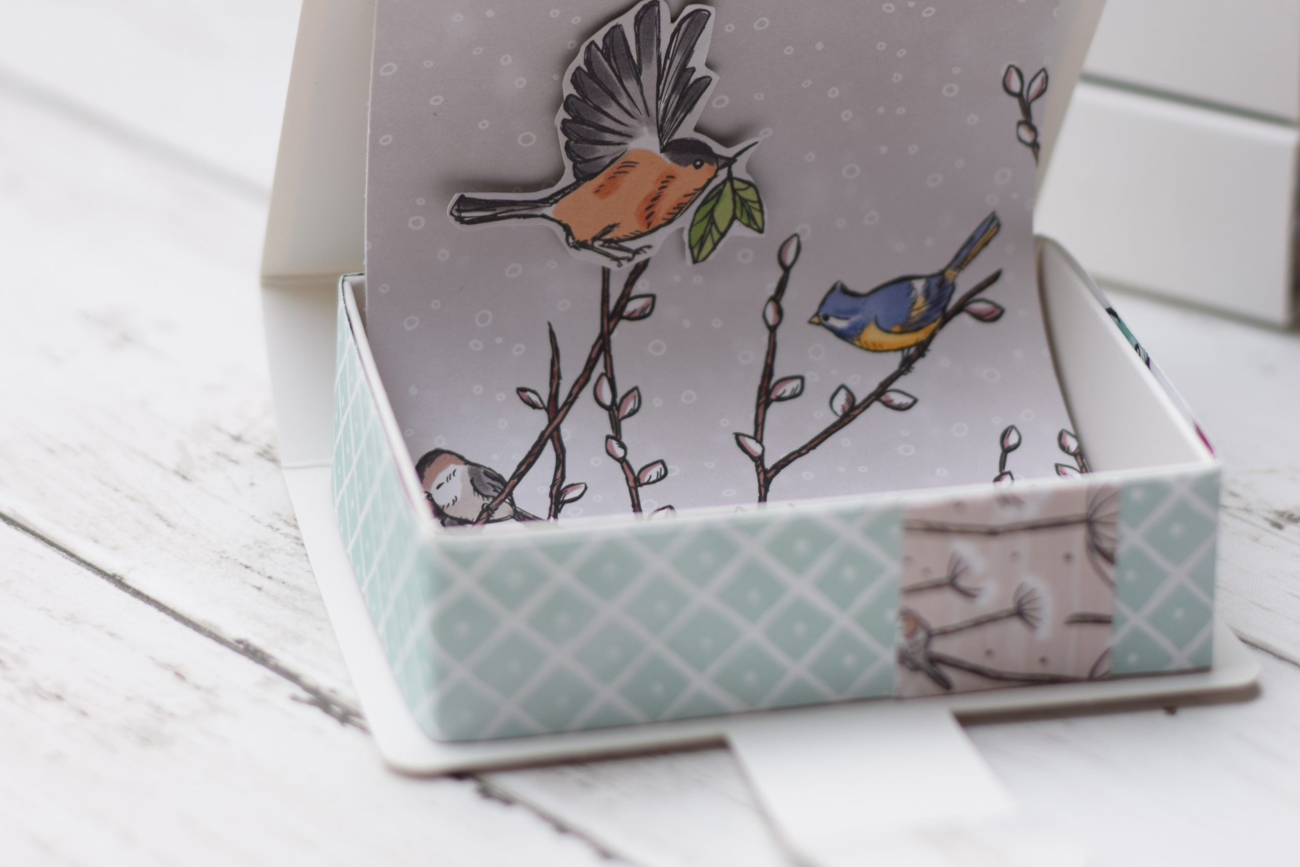 Boîte livre et oiseaux en pop’up