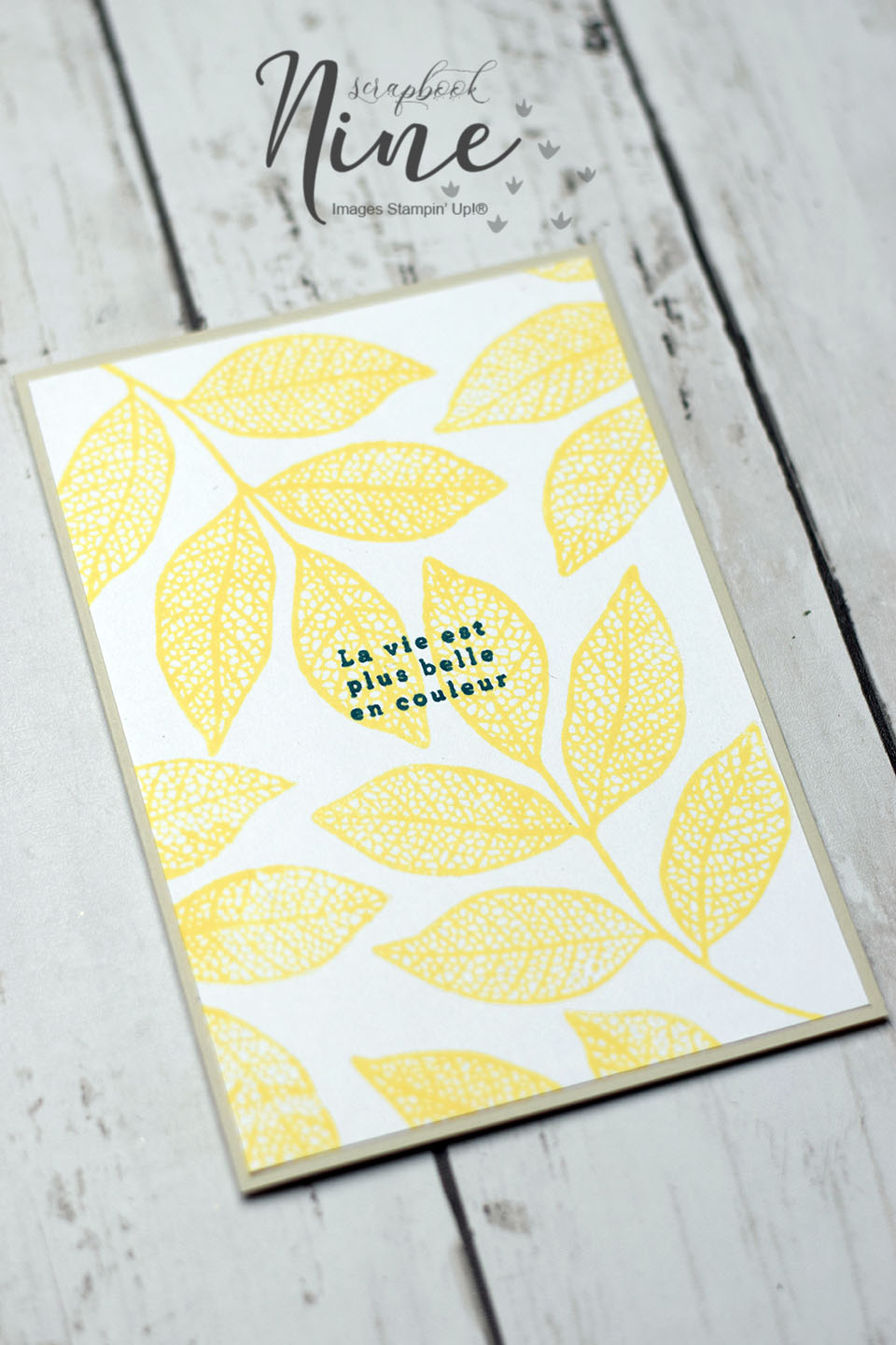 carte estival couleur fraiche et tamponnge simple plioir hybride (7)