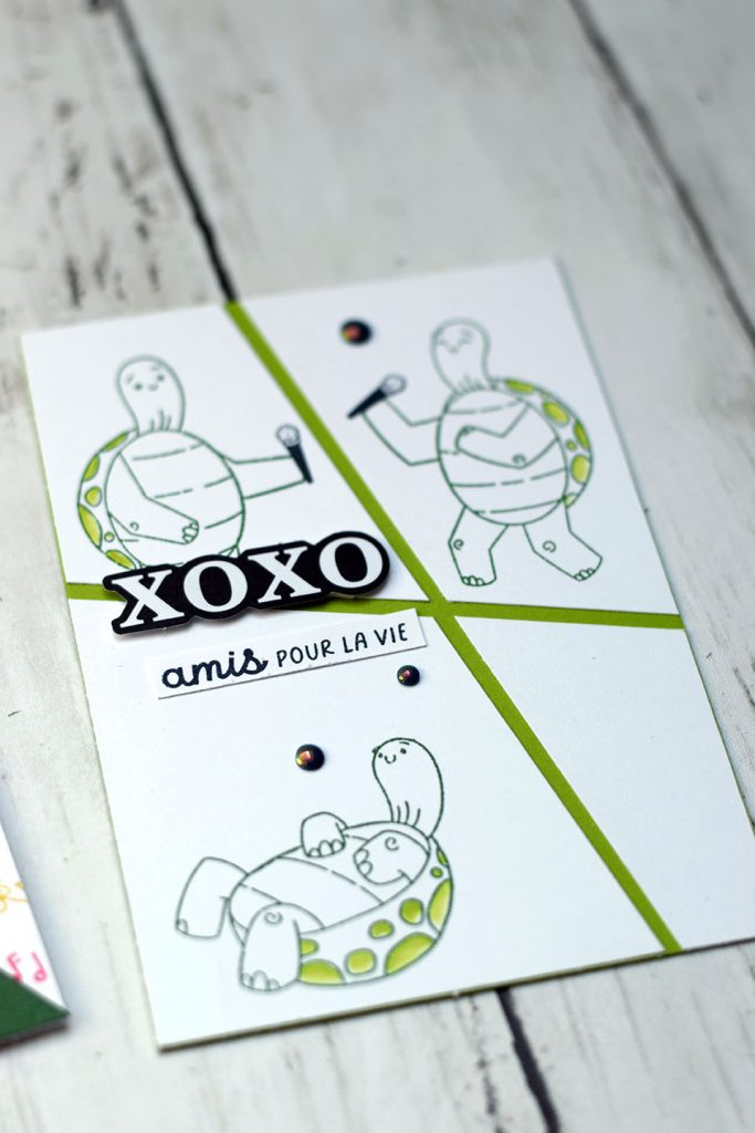 carte tortue geniale 1