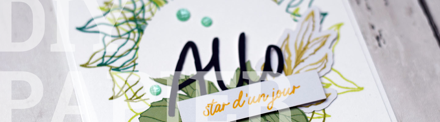 Idees diy une carte danniversaire