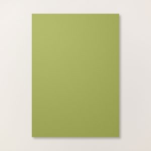 papier a4 vert olive