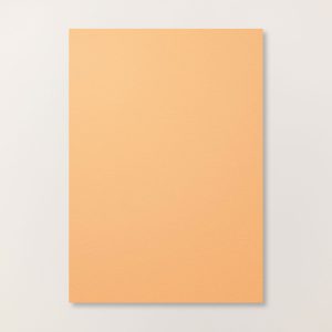 papier a4 pêche précieuse