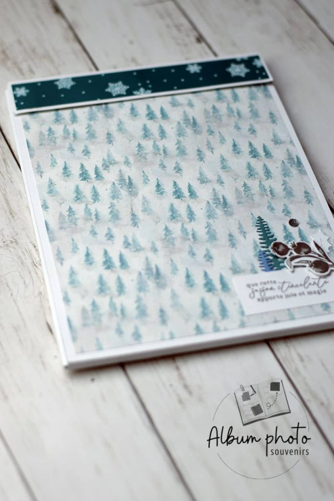 enorme-album-photo-folio-pour-un-hiver-enneige-1.JPG