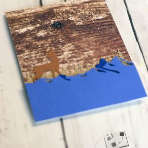 pochette-et-album-accordeon-pour-un-cadeau-collectif-a-completer-1