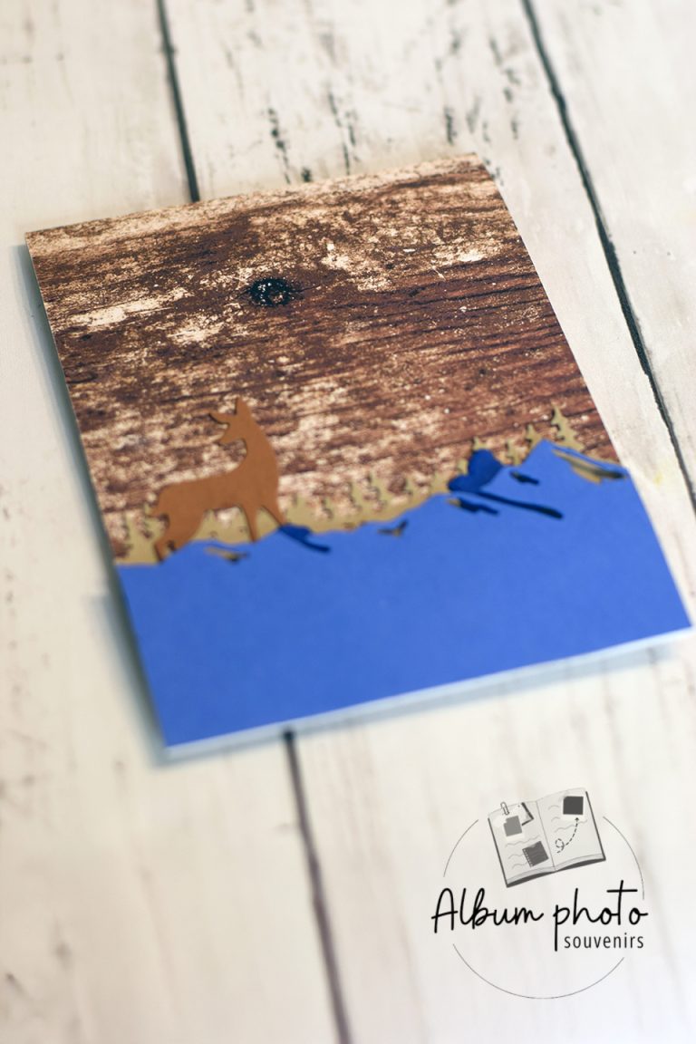 Pochette-et-album-accordeon-pour-un-cadeau-collectif-a-completer-1