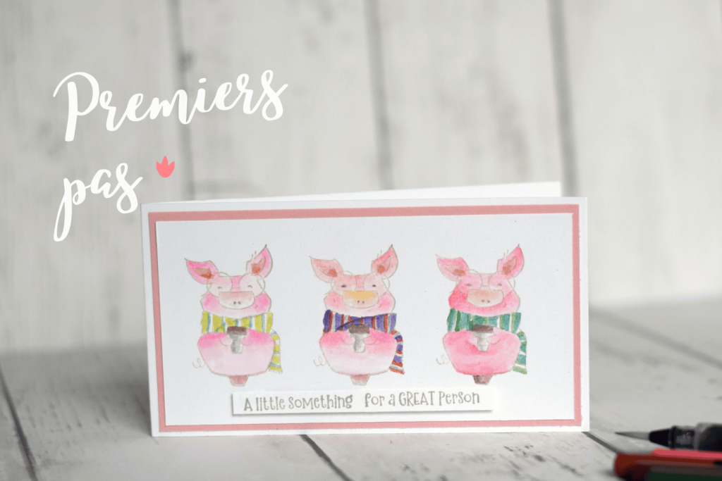 premier-pas-debuter-la-colorisation