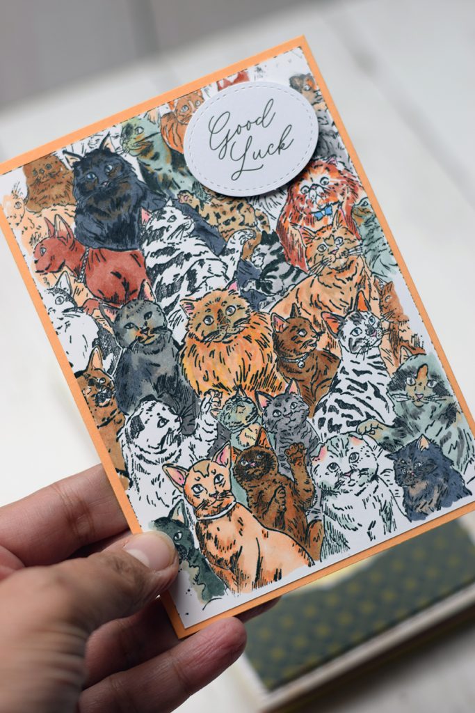 tampon meow mates pour carterie et album animaux de compagnie 3