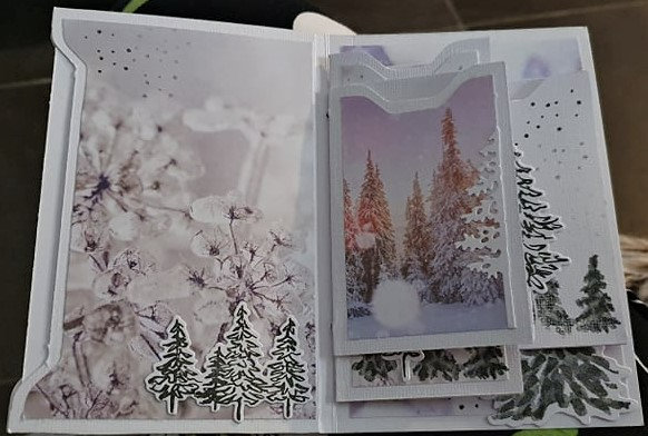 Creachouette dulcinda jorge demo stampinup (1)