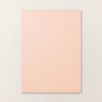a4 pétale rose