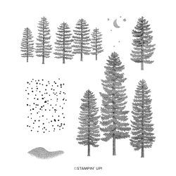 tampons forever forest