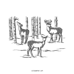 tampons graceful deer
