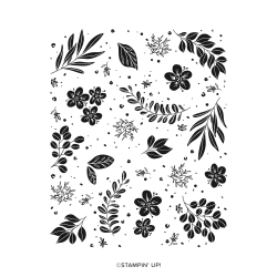 tampons botanical beauty