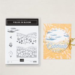 tampons fields in bloom
